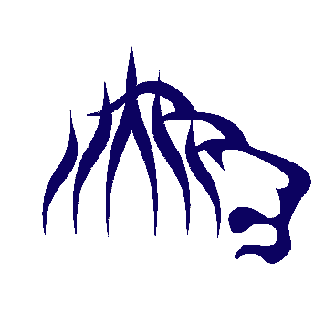 Aegis Intermedia